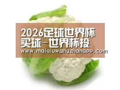 产品名称九