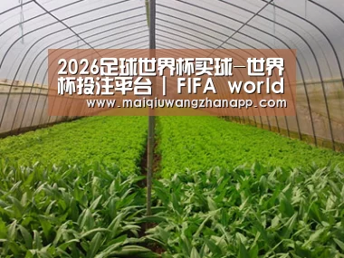 种植基地四