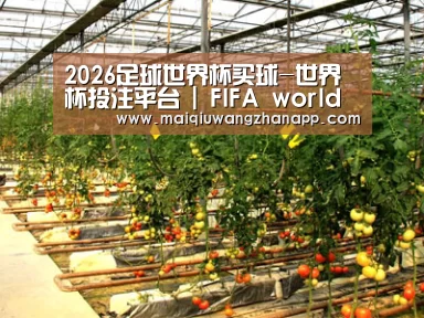 种植基地二