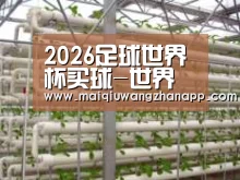 环境展示六