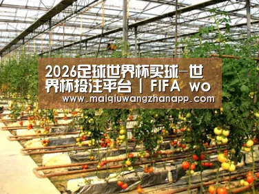 种植基地二(图1)