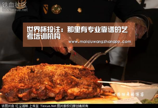 世界杯买球网站官网