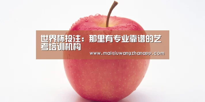 世界杯投注