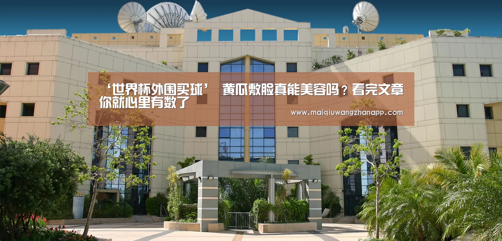 世界杯买球网站官网