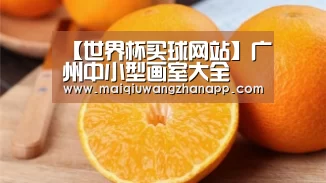 世界杯买球网站官网
