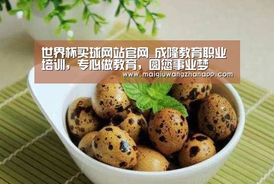 世界杯买球网站官网
