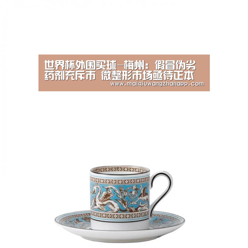 世界杯买球网站官网