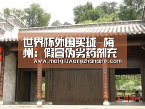 世界杯买球网站官网