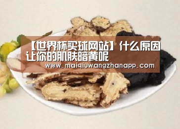 世界杯买球网站官网